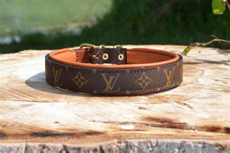 W2C LOUIS VUITTON DOG COLLAR NINA DOESN'T HAVE : 